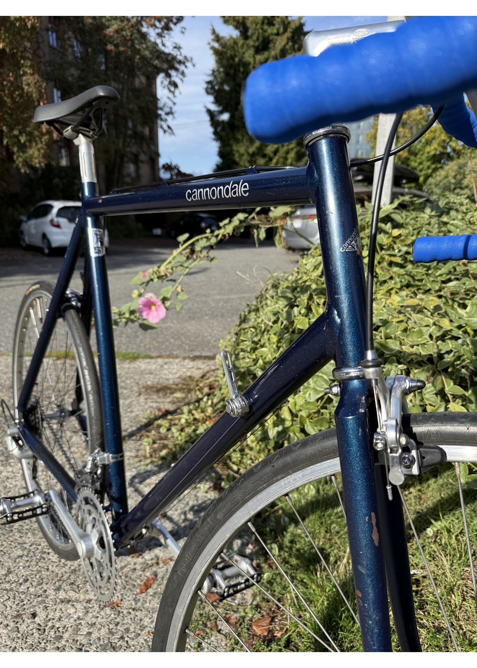 Cannondale Cannondale Vintage Road