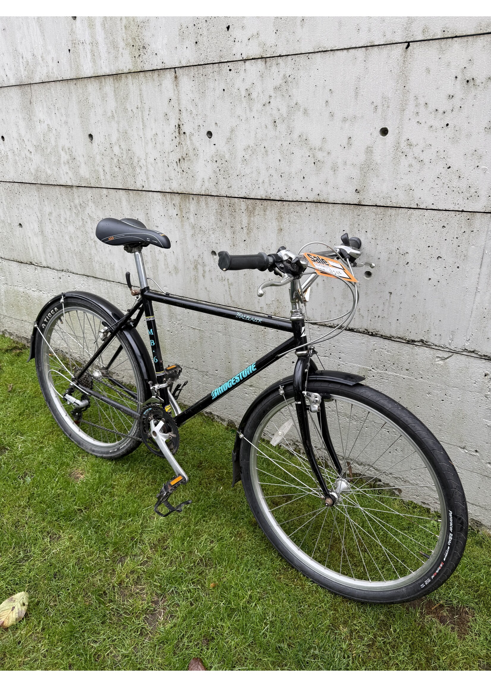 Bridgestone Bridgestone Trail Blazer (M)