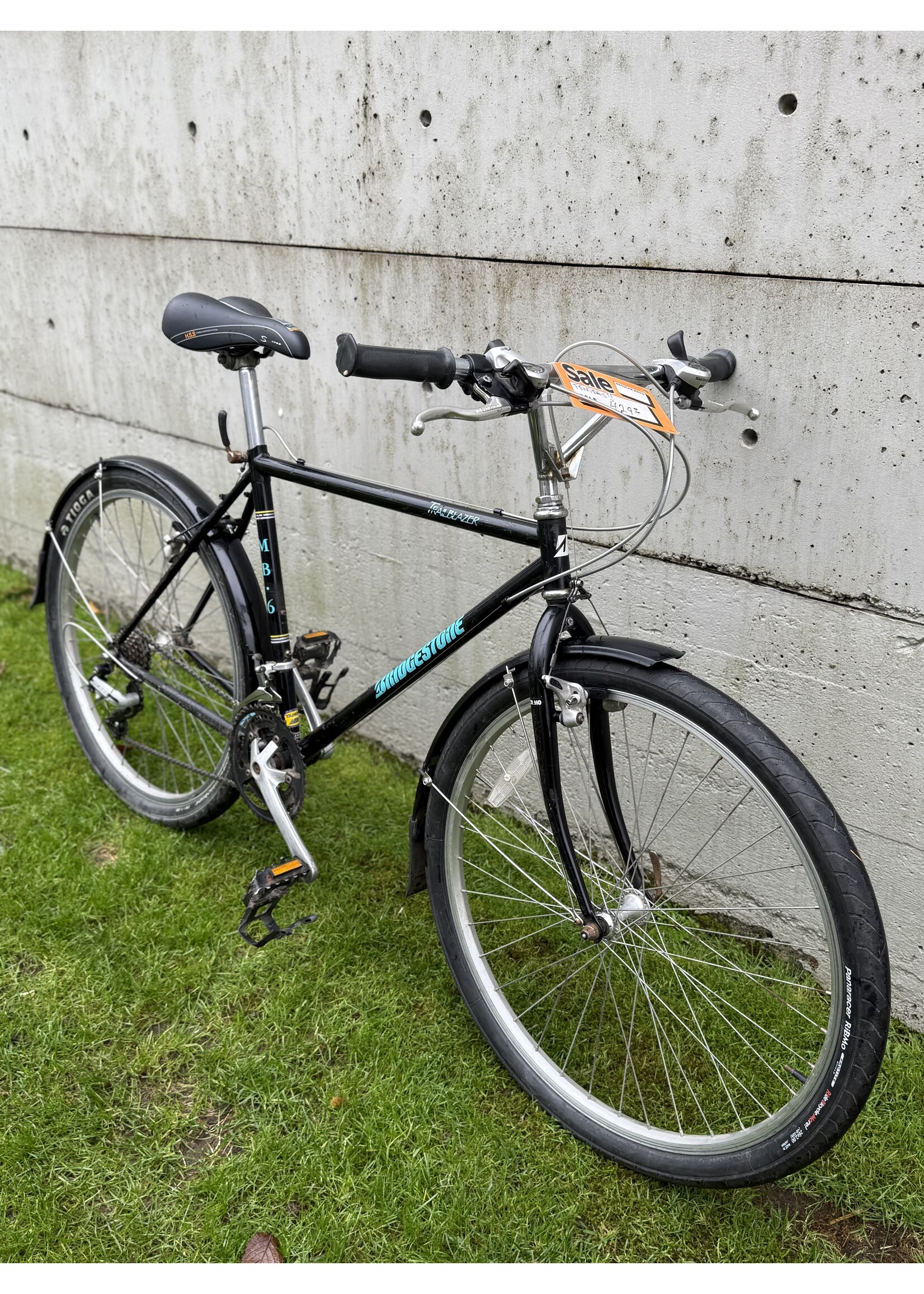 Bridgestone Bridgestone Trail Blazer (M)