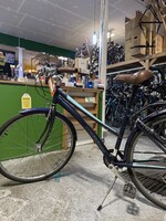 Schwinn Schwinn Network 2.0 (M)