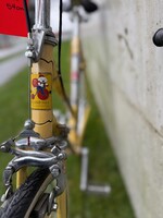 Klondiker 10spd Used Bike