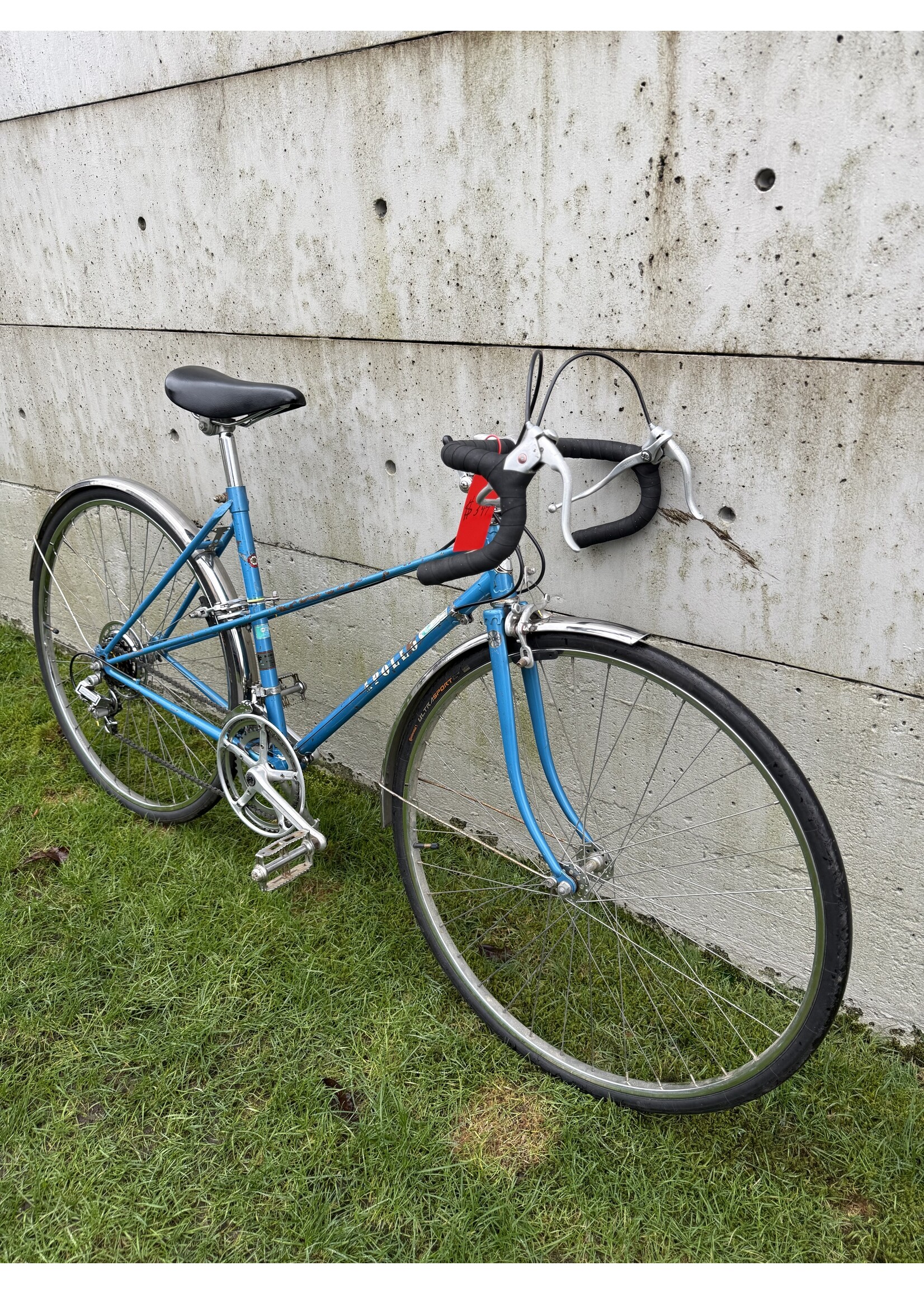 Apollo Apollo Road 51cm