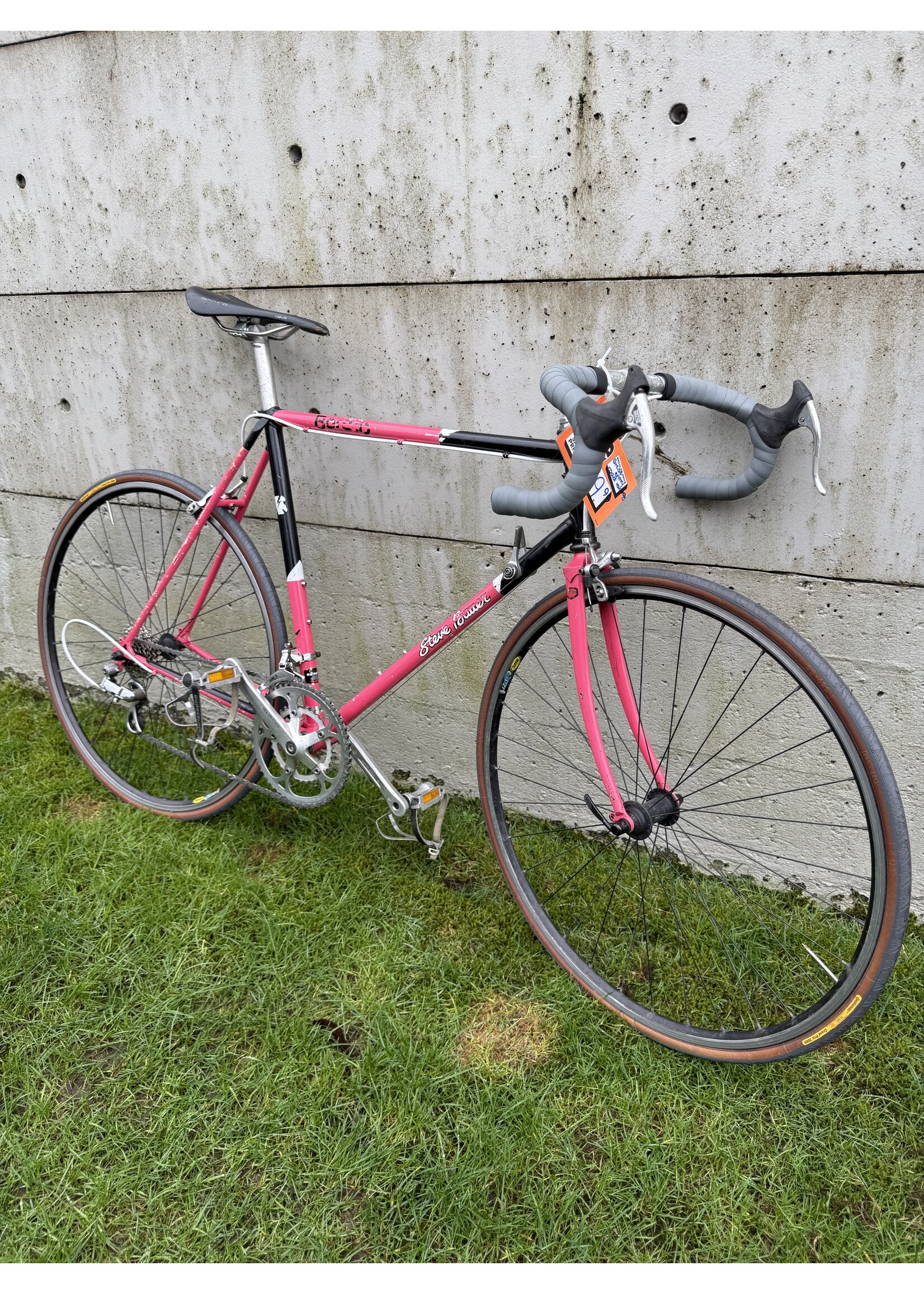 Steve Bauer Race Bike Used