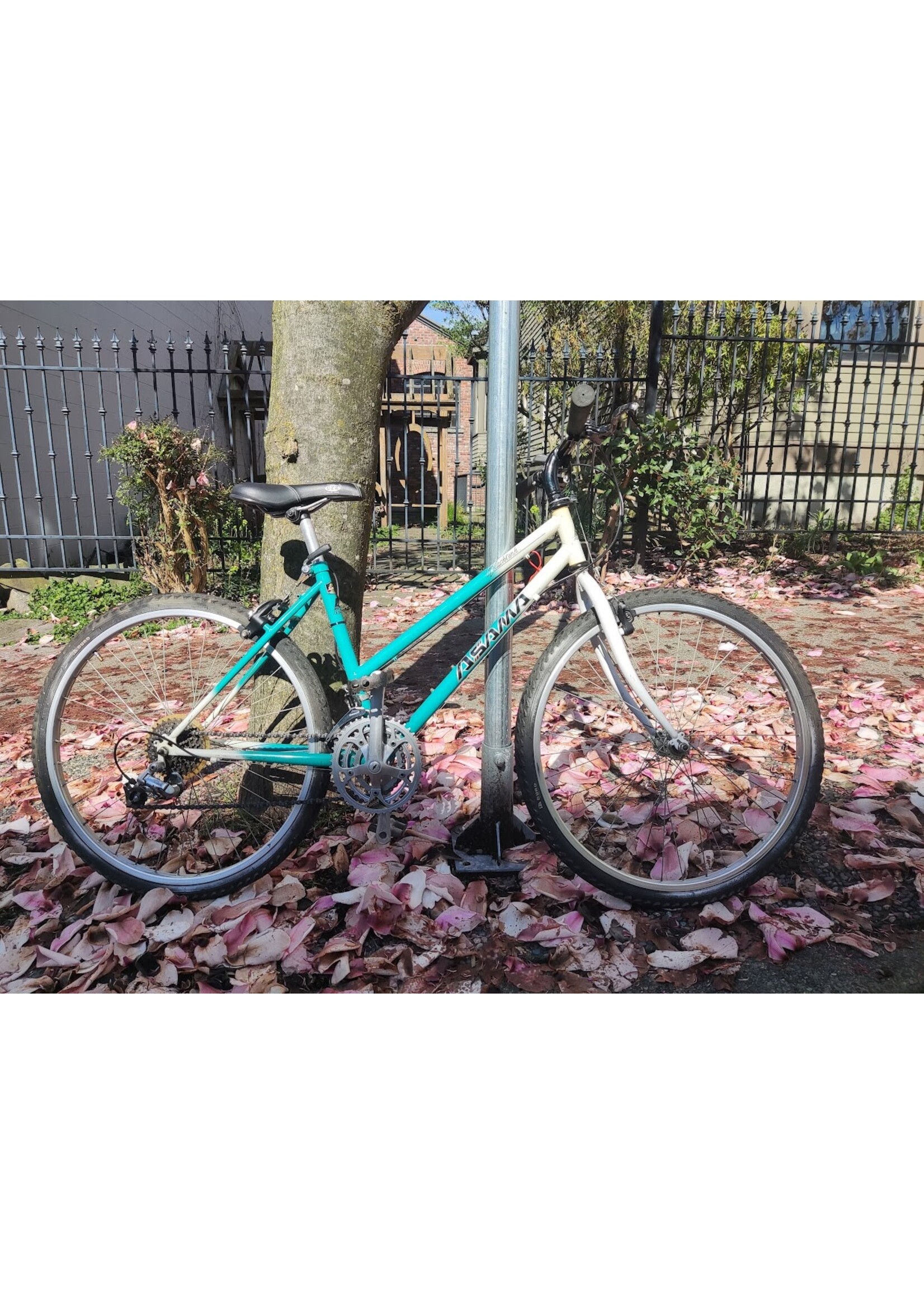 Asama Blacktusk Blue/White Step Over 48 CM