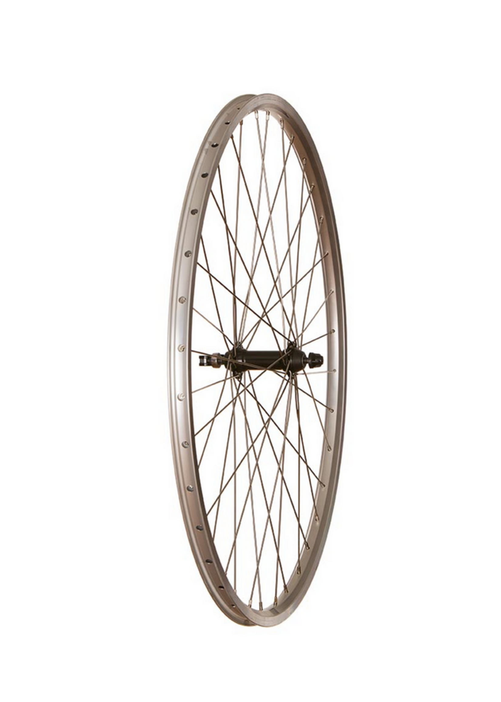 EVO Wheel Shop, Evo Tour 19, Wheel, Front, 27'' x 1.25" / 630, Holes: 36, QR, 100mm, Rim