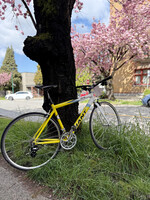 Giant Giant OCR Road