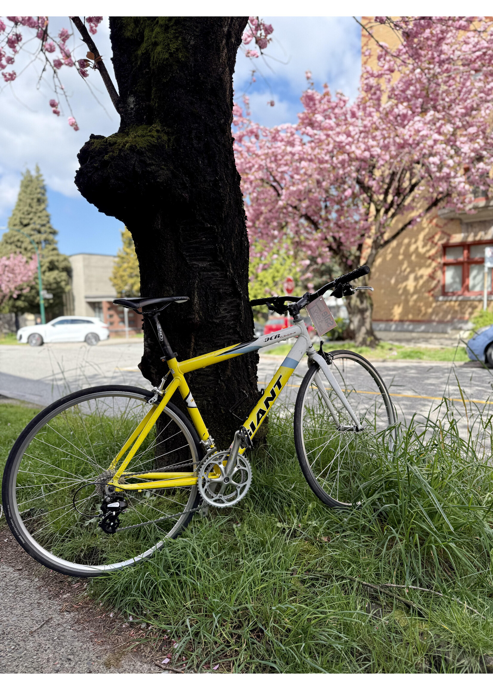 Giant Giant OCR Road