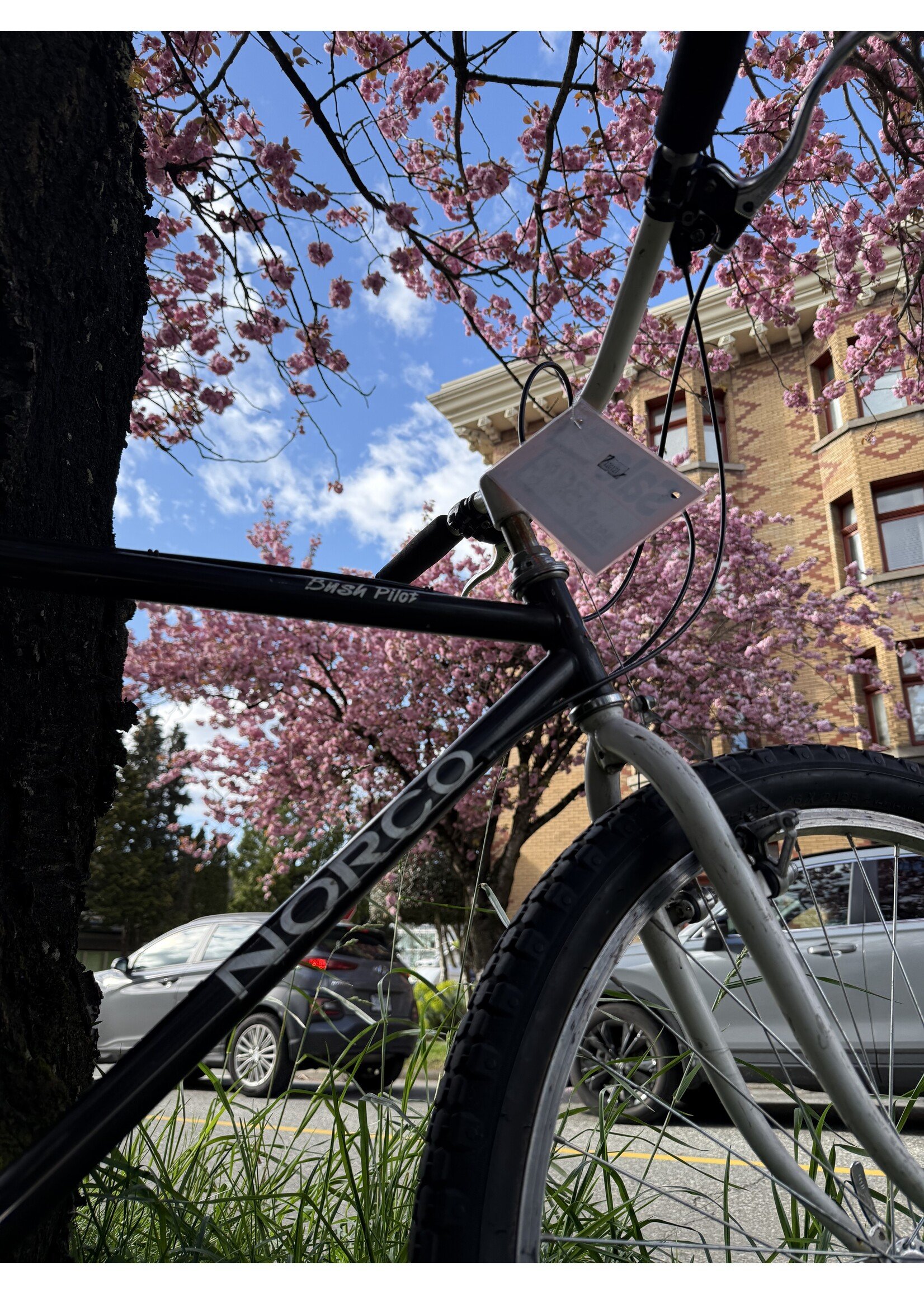 Norco Norco Bush Pilot (M)