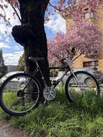 Norco Norco Bush Pilot (M)