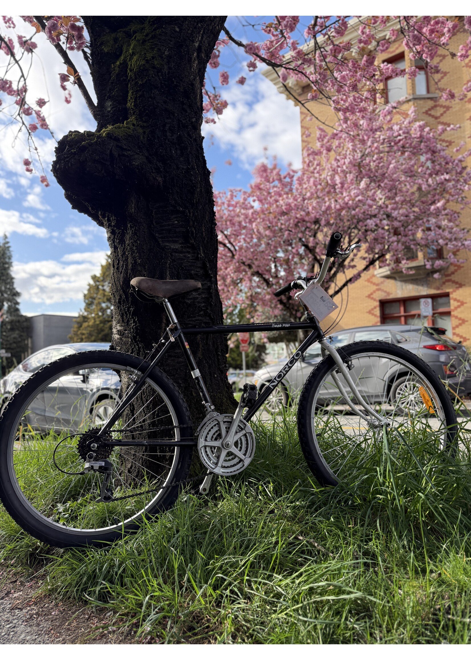 Norco Norco Bush Pilot (M)