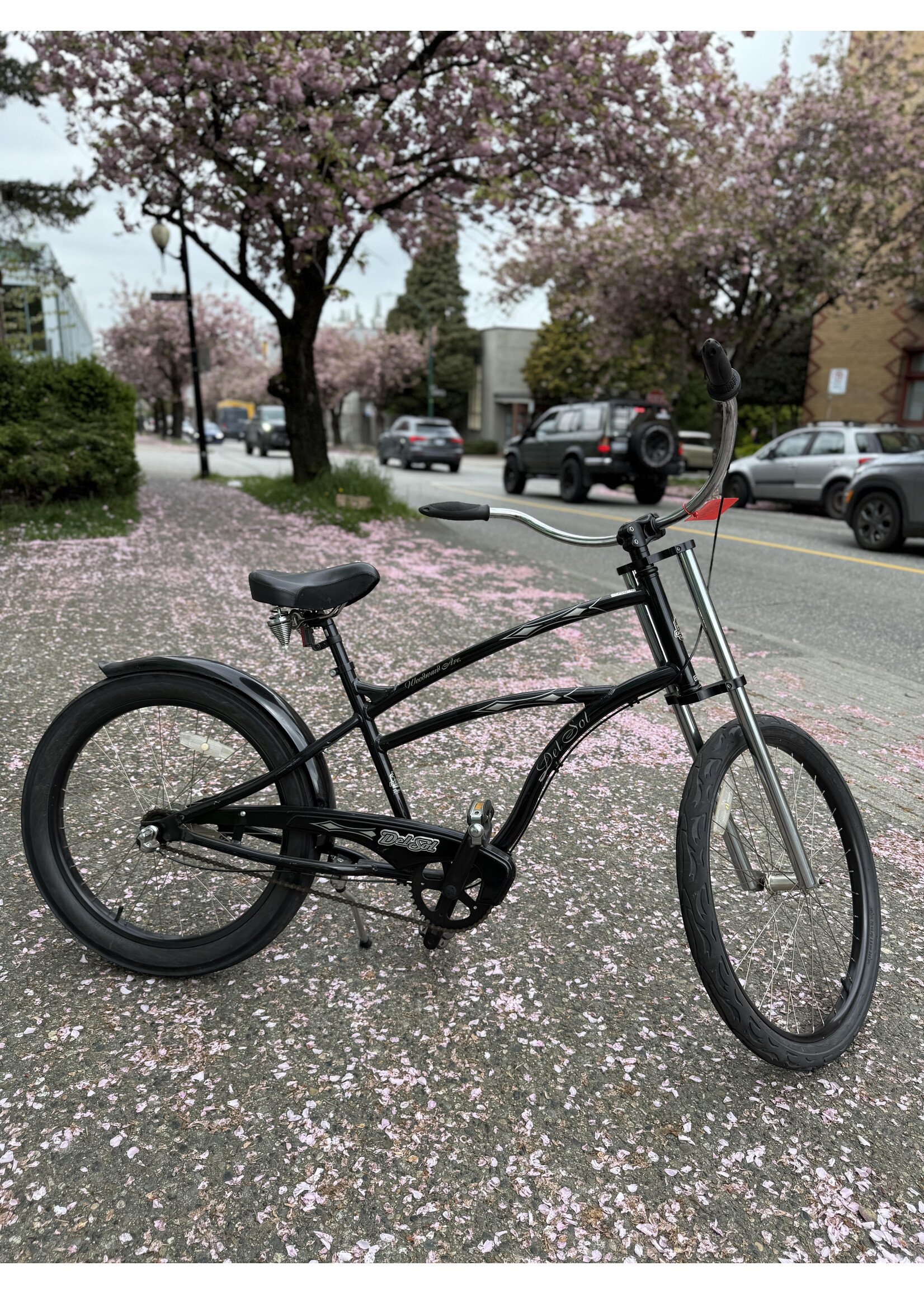 Del Sol Del Sol Woodward Ave