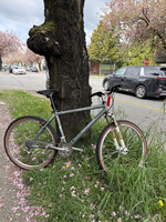 Specialized Specialized Rockhopper