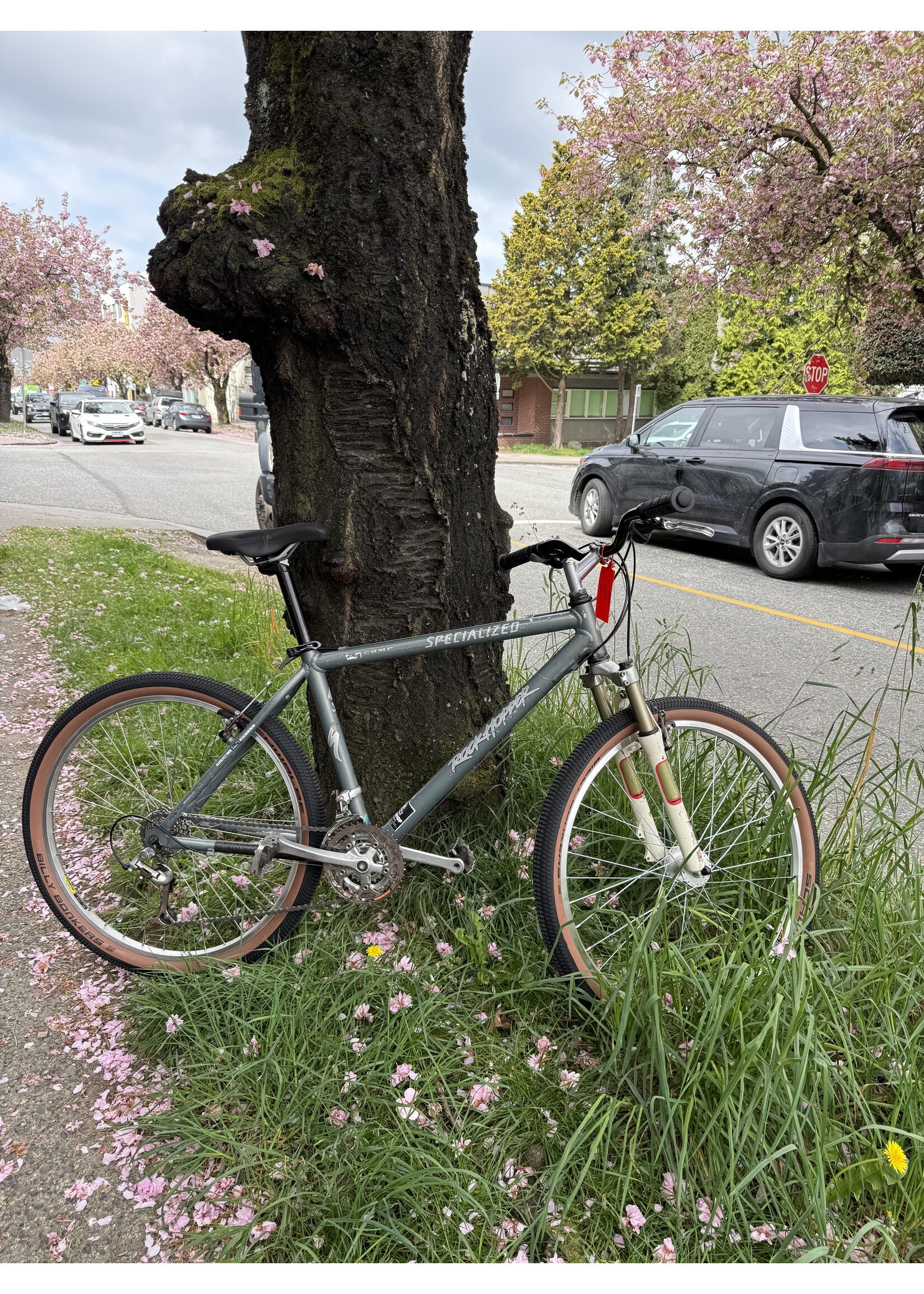 Specialized Specialized Rockhopper