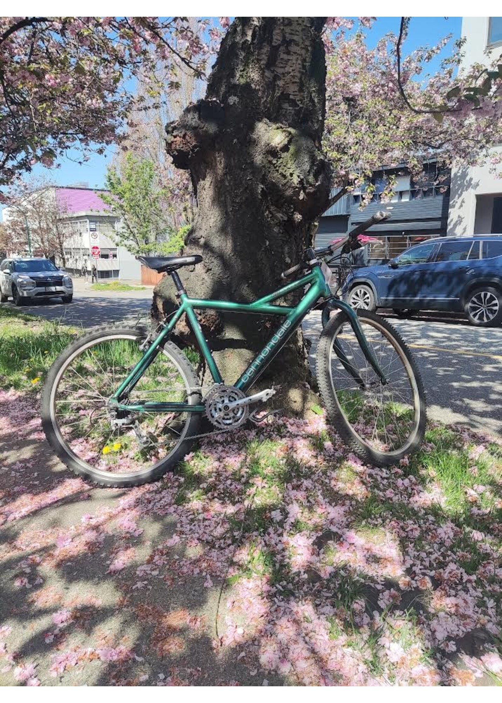 Cannondale Cannondale killer v500 green 50/56cm 19"/22"