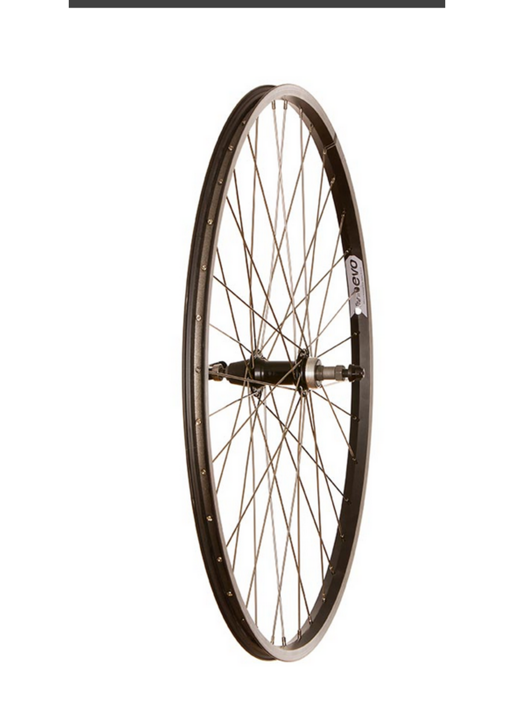 wheelshop Wheel Shop, 4PK Evo Tour 20, Wheel, Rear, 700C / 622, Holes: 36, QR, 135mm, Rim, Freewheel, 4pcs