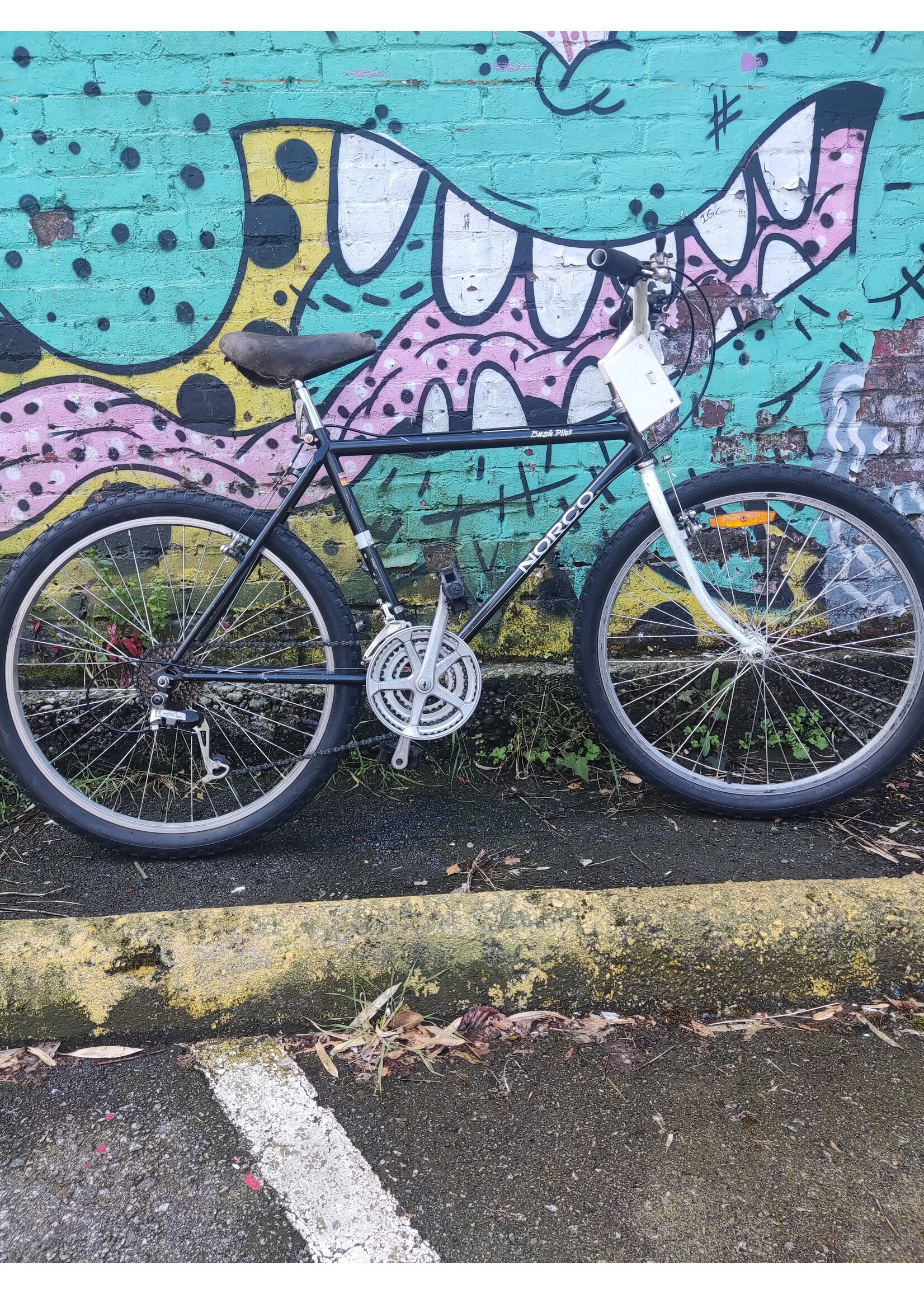 Norco Norco Bushpilot 50CM ST/ 54CM TT
