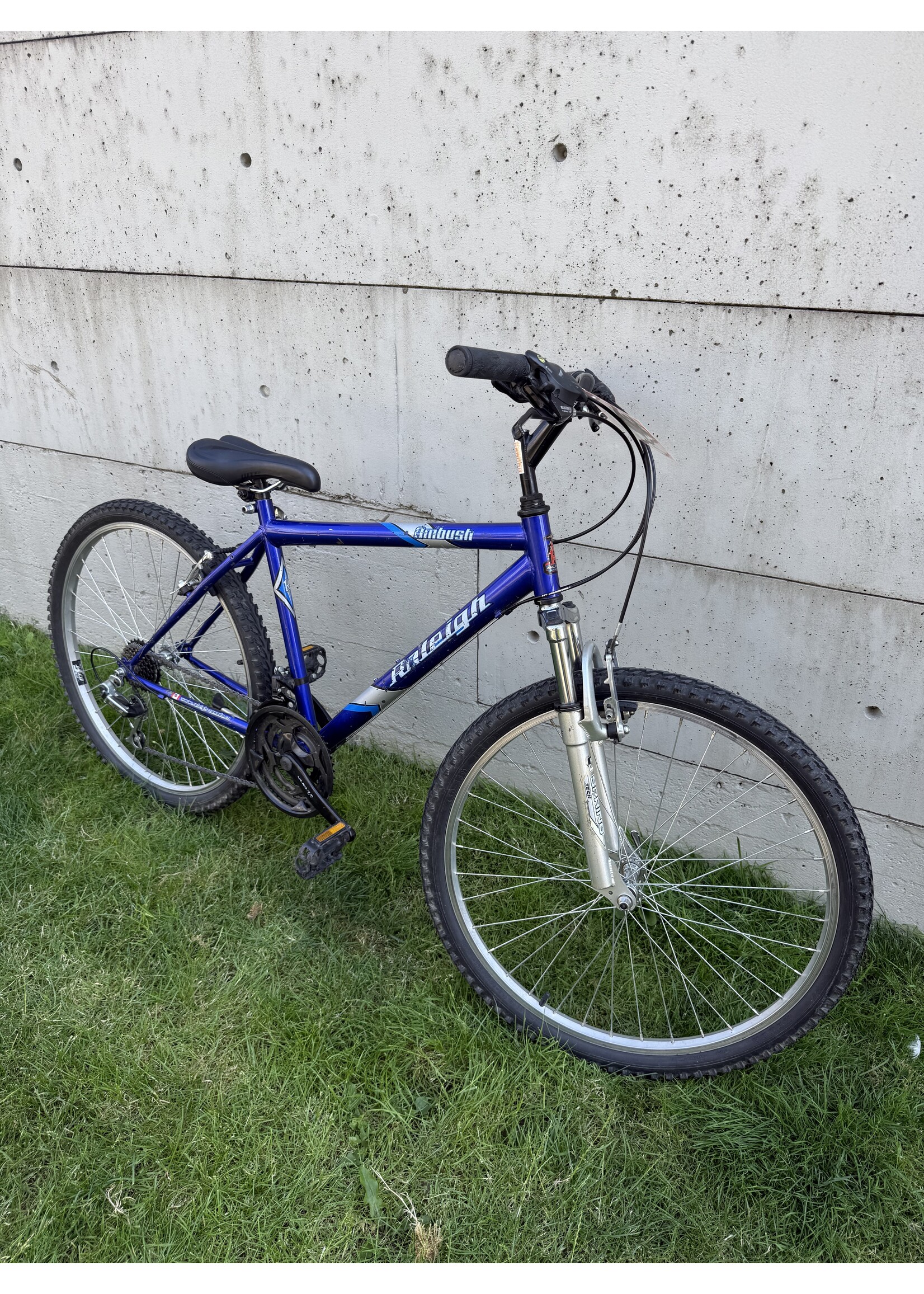 Raleigh Raleigh Ambush (M)