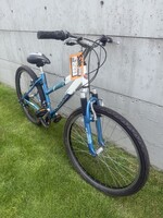 Schwinn Schwinn Ranger (S)