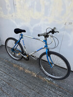 Raleigh Raleigh Royale (M)