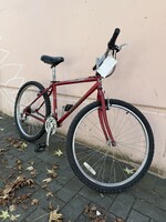 Giant Giant Iguana 640 (S)