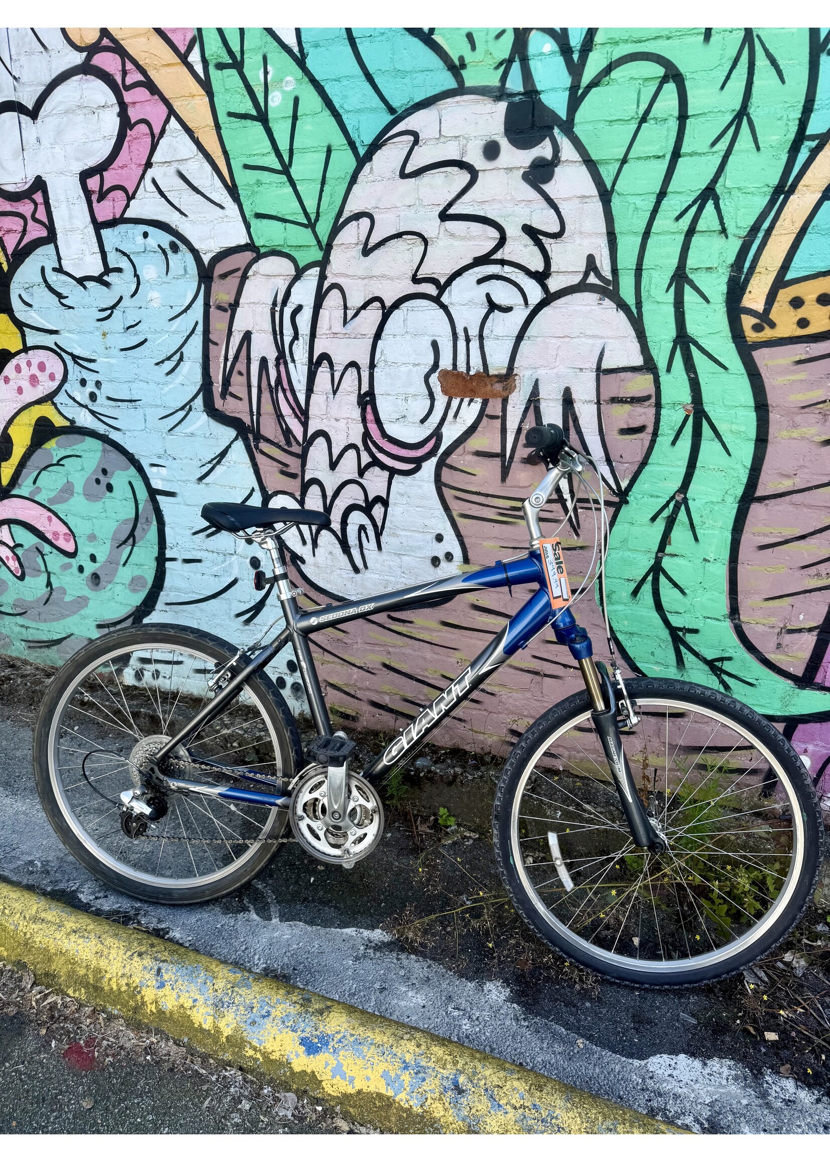 Giant Giant Sedona DX (sm)