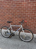 Raleigh Raleigh Portage (M)