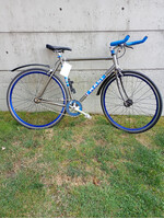 Masi Masi Speciale Fixed LTD 56CM