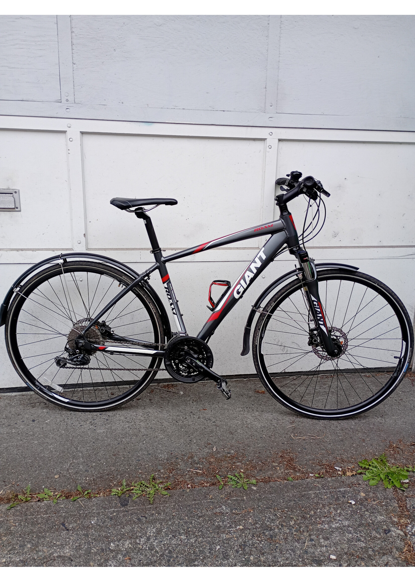 Giant Giant Roam 1 Medium