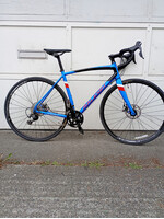 Raleigh Raleigh Merit 3 53CM