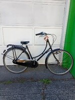 Jorg & Oli Dutch Omafiets
