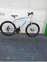 Giant Giant Revel XL