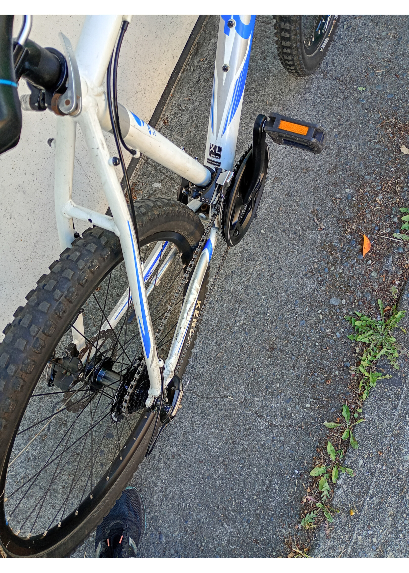 Giant Giant Revel XL