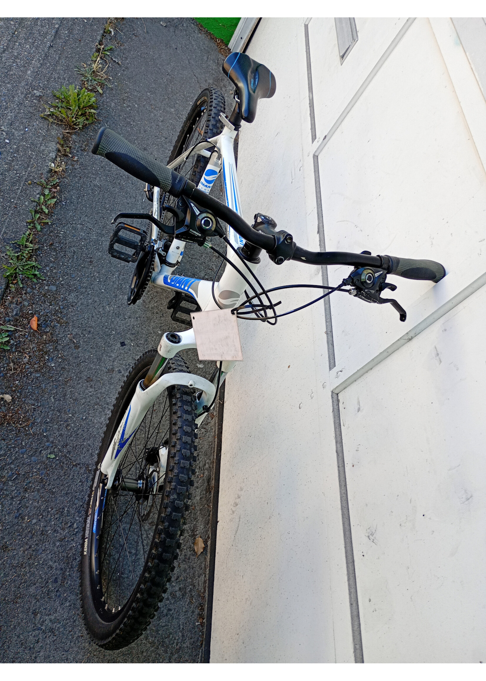 Giant Giant Revel XL