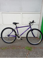 Asama Asama Rockline Comp 16" Small
