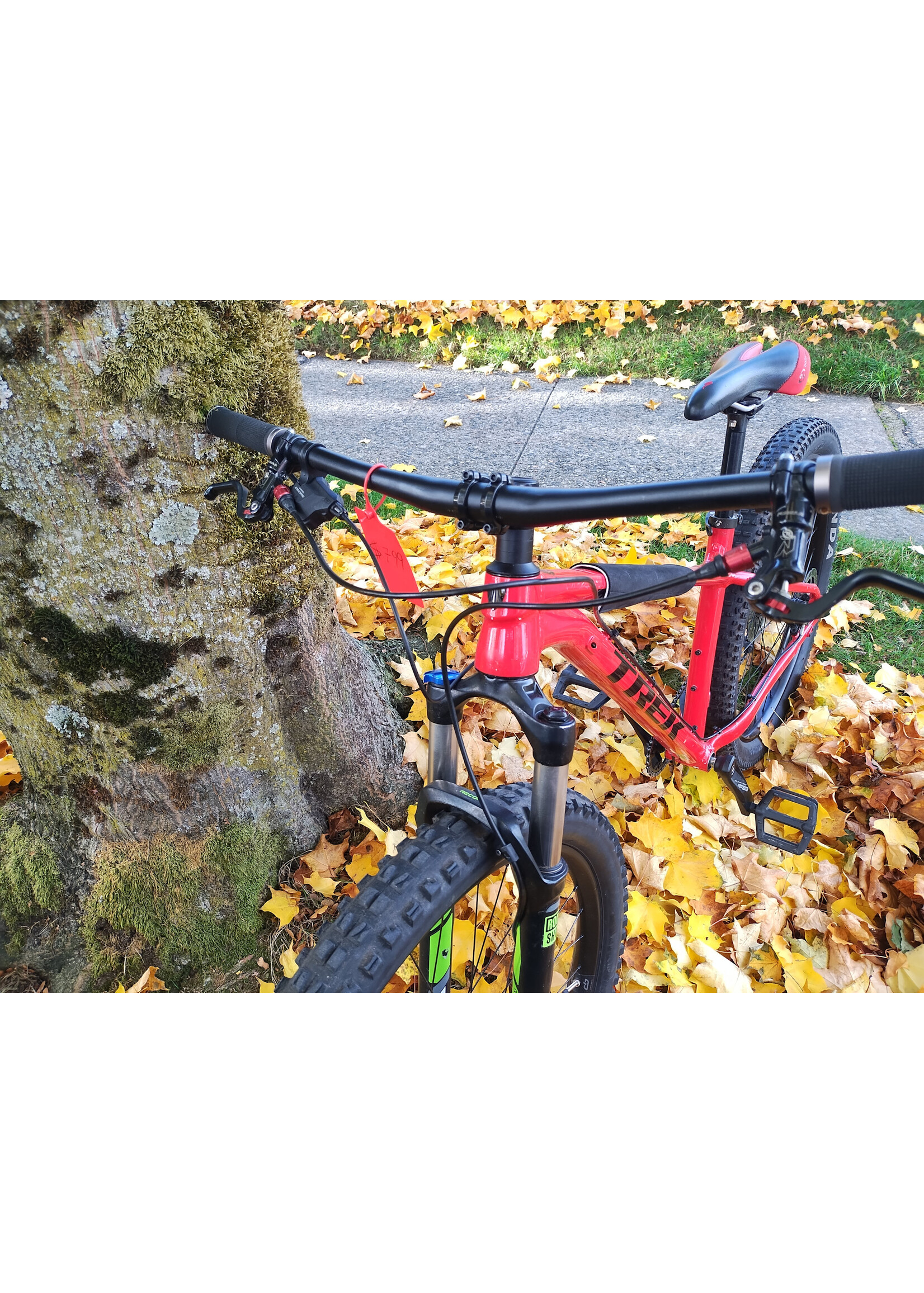 Trek Roscoe 6