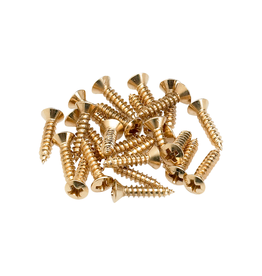 Fender NEW Fender Pickguard/Control Plate Mounting Screws - Gold - Pack of 24