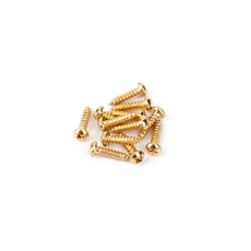 Fender NEW Fender Pure Vintage Tuning Machine Mounting Screws - Gold - Pack of 12