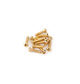 Fender NEW Fender Pure Vintage Tuning Machine Mounting Screws - Gold - Pack of 12