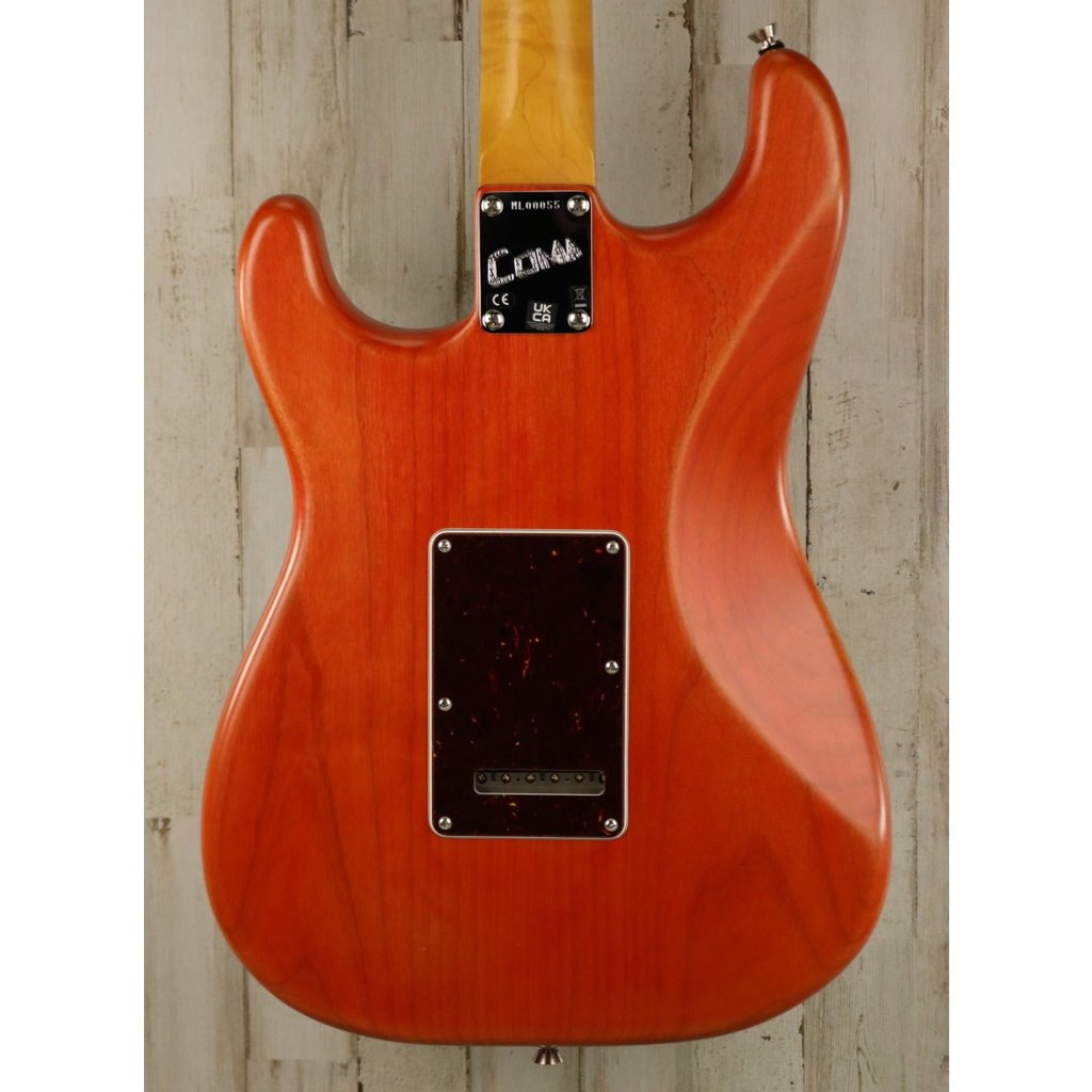 Fender USED Fender Michael Landau Coma Stratocaster (055)