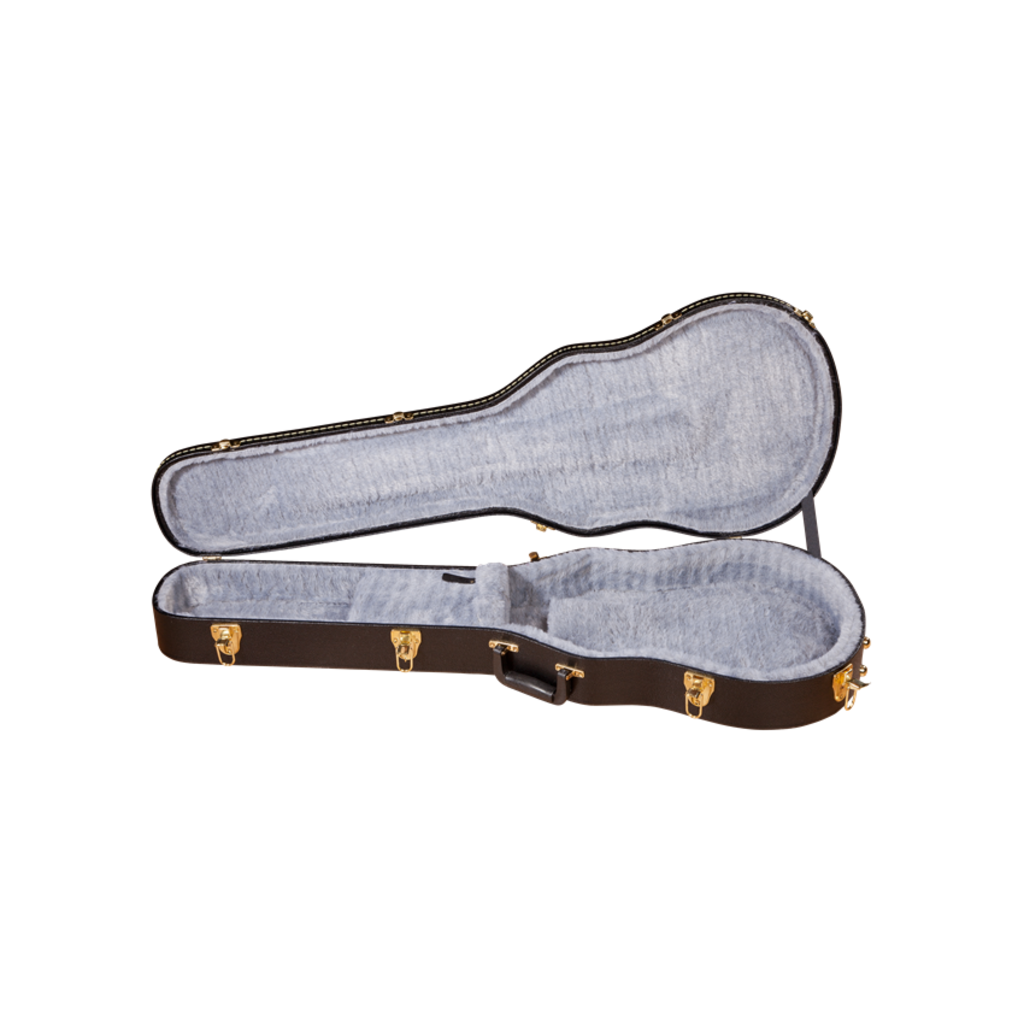 Gretsch NEW Gretsch G6238FT Flat Top Solid Body Guitar Case