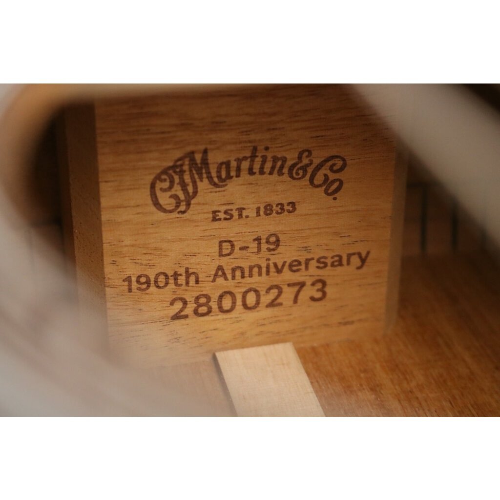 Martin NEW Martin D-19 190th Anniversary - Natural (273)