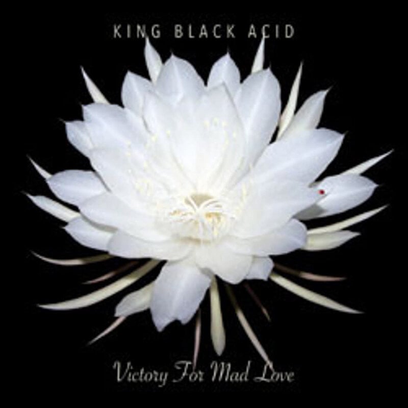 Vinyl NEW King Black Acid – Victory For Mad Love-RSD