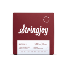 Stringjoy NEW Stringjoy Naturals Phosphor Bronze Mandolin Strings - Medium - .011 - .040