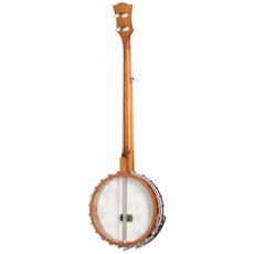 Epiphone NEW Epiphone Mastertone Bowtie Open-Back Banjo (751)