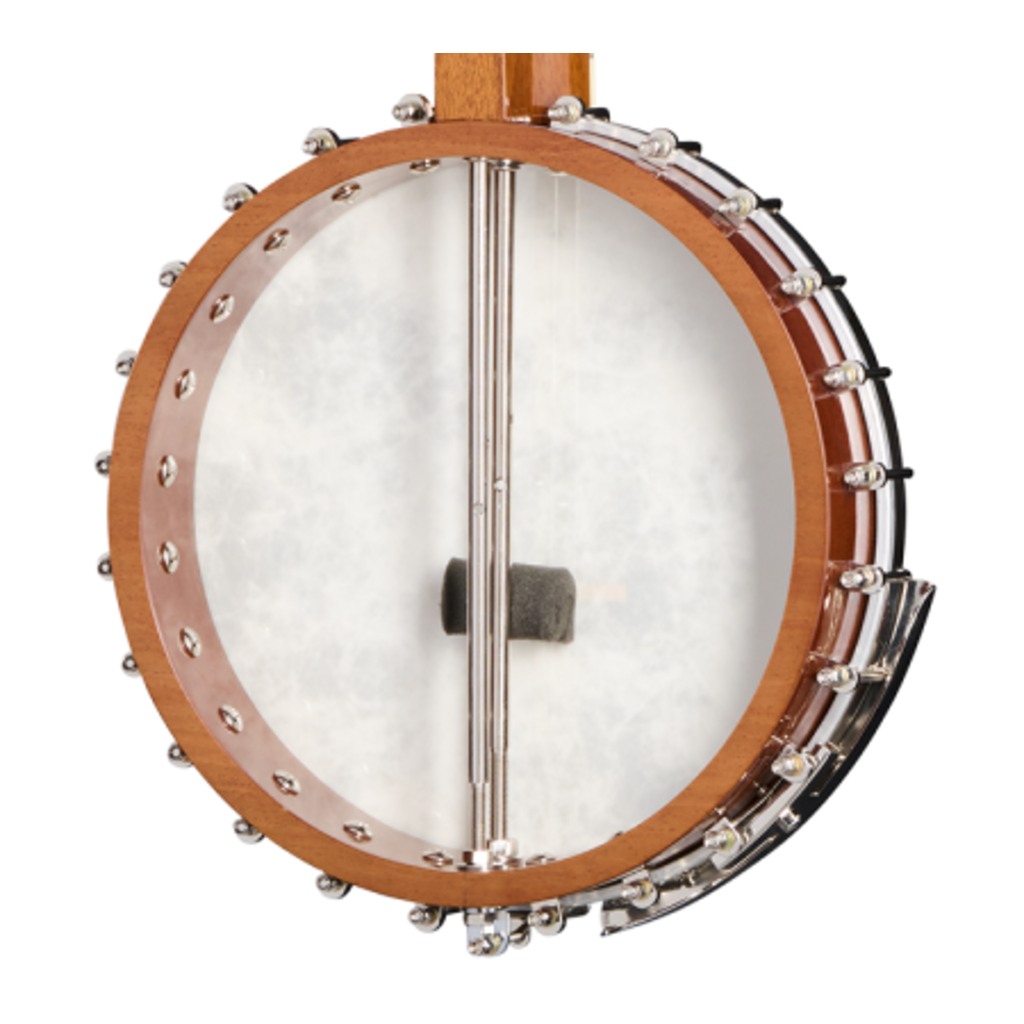 Epiphone NEW Epiphone Mastertone Bowtie Open-Back Banjo (751)