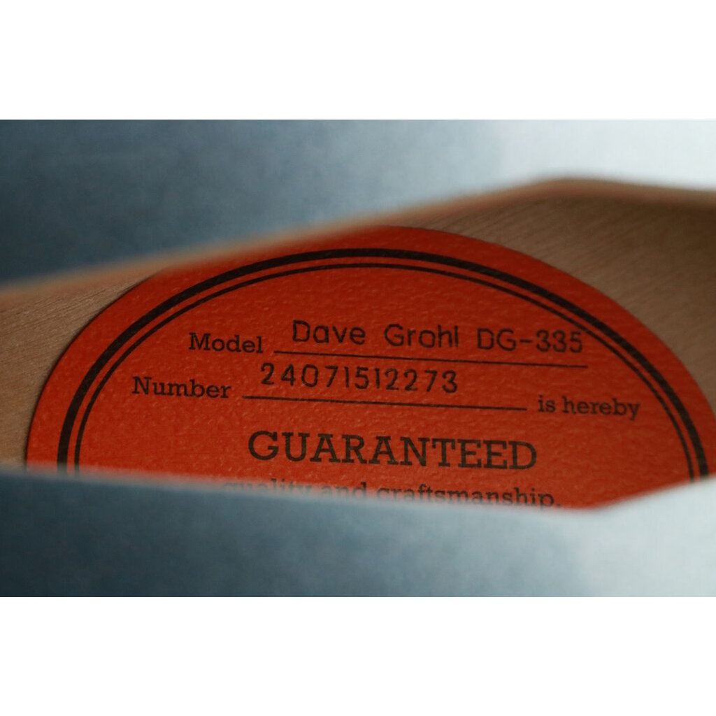 NEW Epiphone Dave Grohl DG335 Pelham Blue (273) Mountain Music