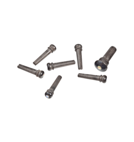 D'Addario NEW D'Addario Wood Bridge Pins - Ebony/Abalone
