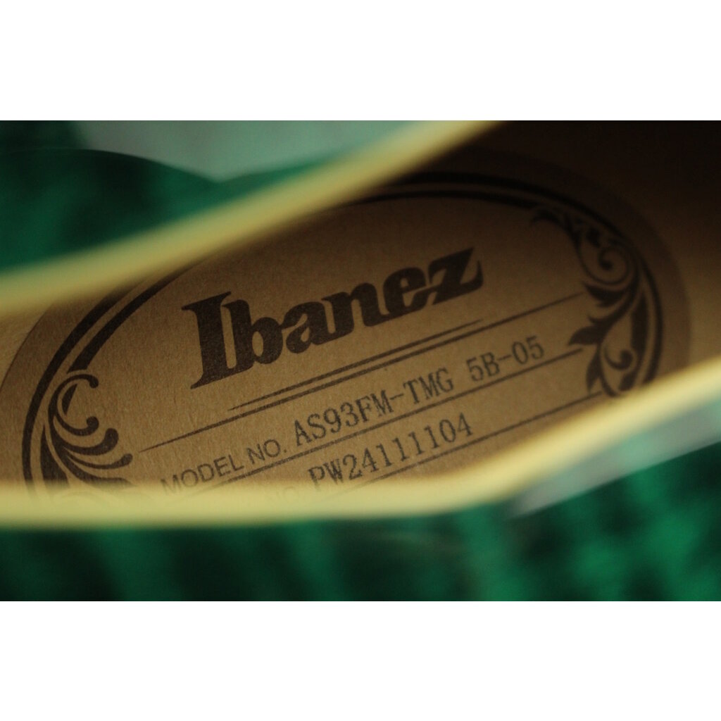 Ibanez DEMO Ibanez Artcore Expressionist AS93FM - Transparent Moss Green (104)