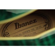 Ibanez DEMO Ibanez Artcore Expressionist AS93FM - Transparent Moss Green (104)