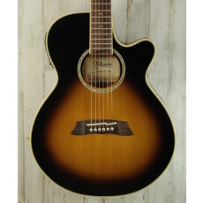 Takamine USED Takamine TSP138 (738)